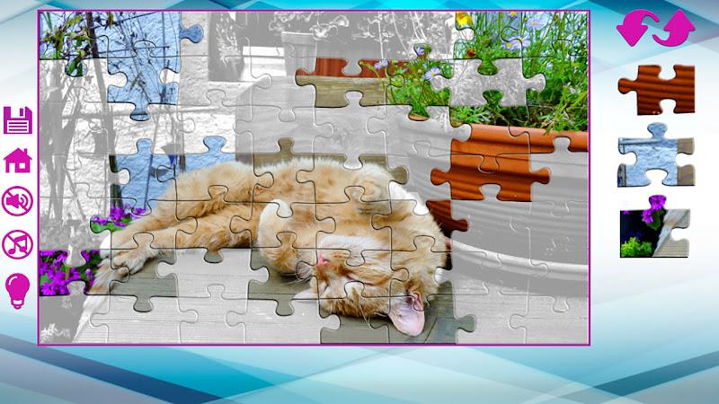 Big puzzles with cats 螢幕截圖 2