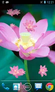 Lotus Live Wallpaper 스크린샷 0