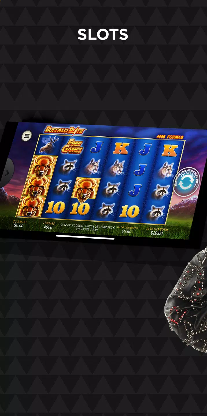 Winner Casino 螢幕截圖 2