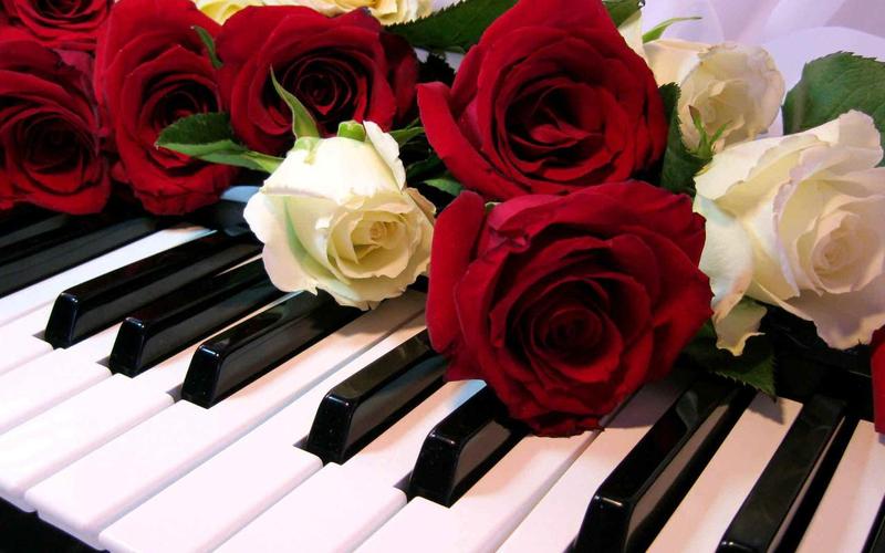 Roses Jigsaw Puzzles 螢幕截圖 0