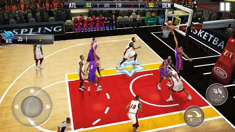 Fanatical Basketball 螢幕截圖 1