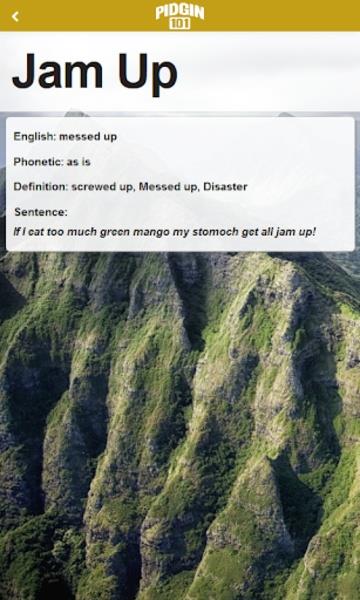 Pidgin 101 ภาพหน้าจอ 0