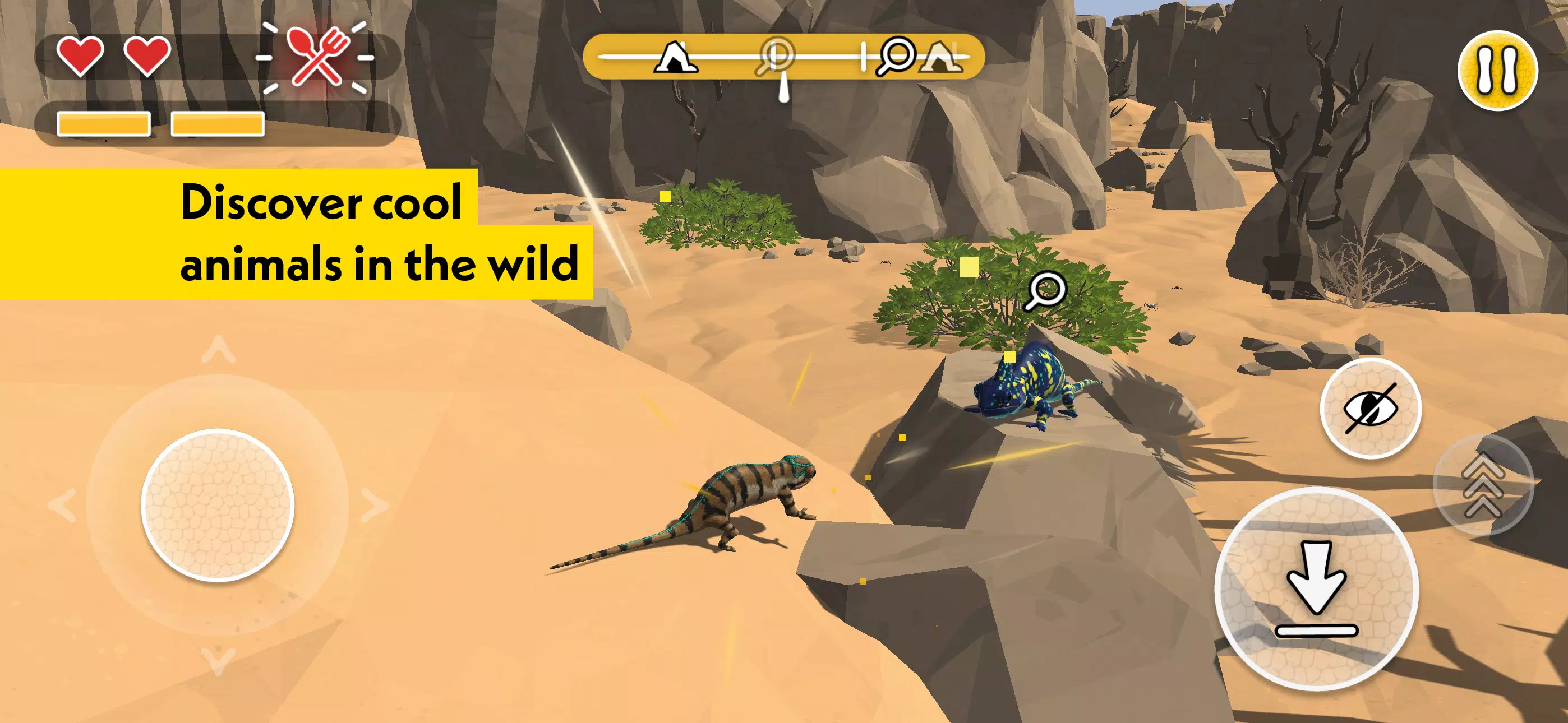 PLANET WOW Wildlife Adventure应用截图第3张