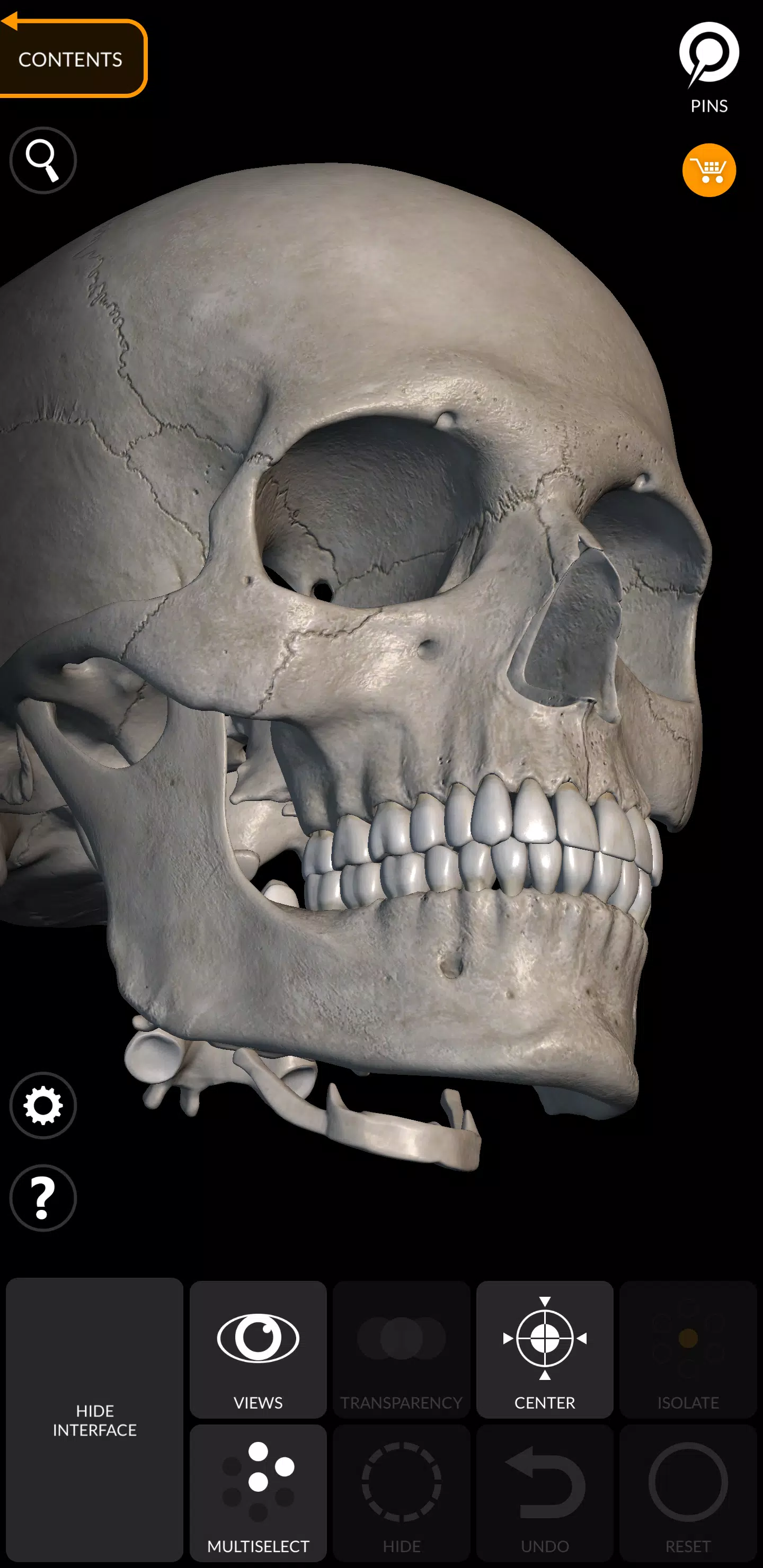 Skeleton ဖန်သားပြင်ဓာတ်ပုံ 3