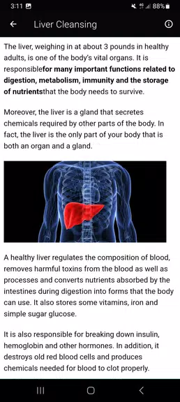 Top Liver Cleansing Superfoods 螢幕截圖 1