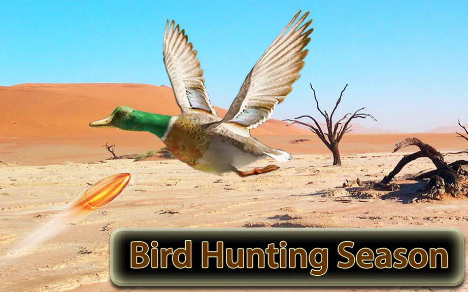 Desert Birds Sniper Shooter 3D应用截图第0张