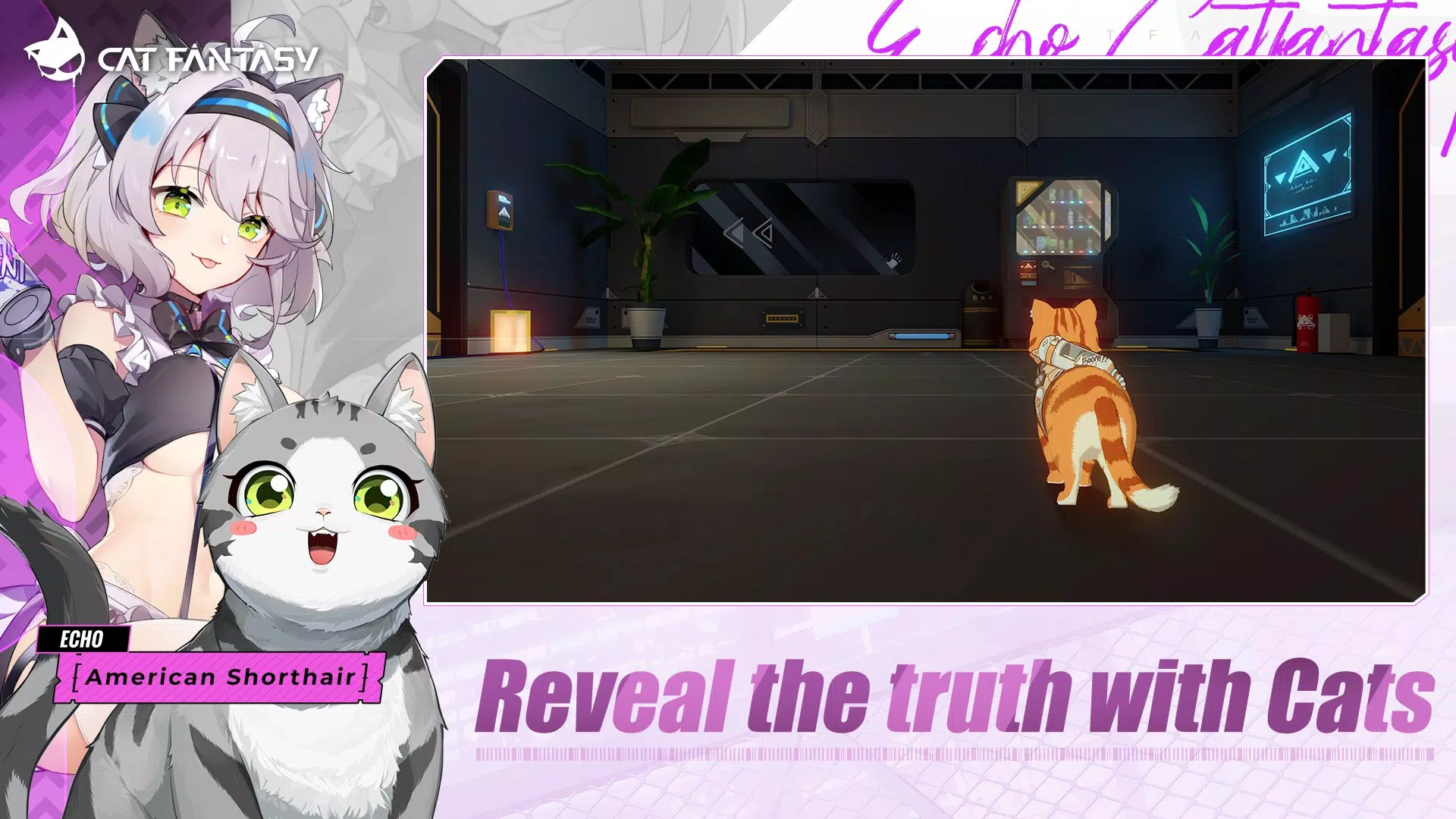Cat Fantasy:PH ภาพหน้าจอ 3