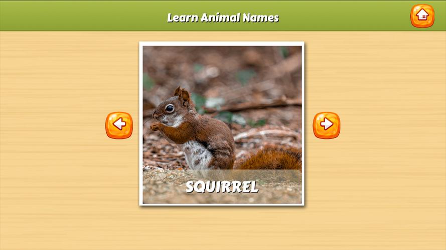 Learn Animal Names 螢幕截圖 0