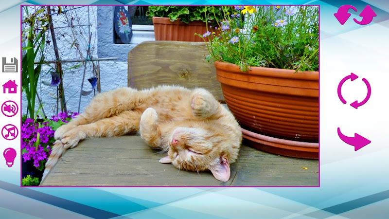 Big puzzles with cats 螢幕截圖 3