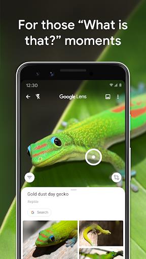 Google Lens Capture d'écran 0
