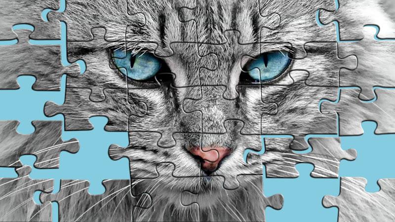 Big puzzles with cats 螢幕截圖 0
