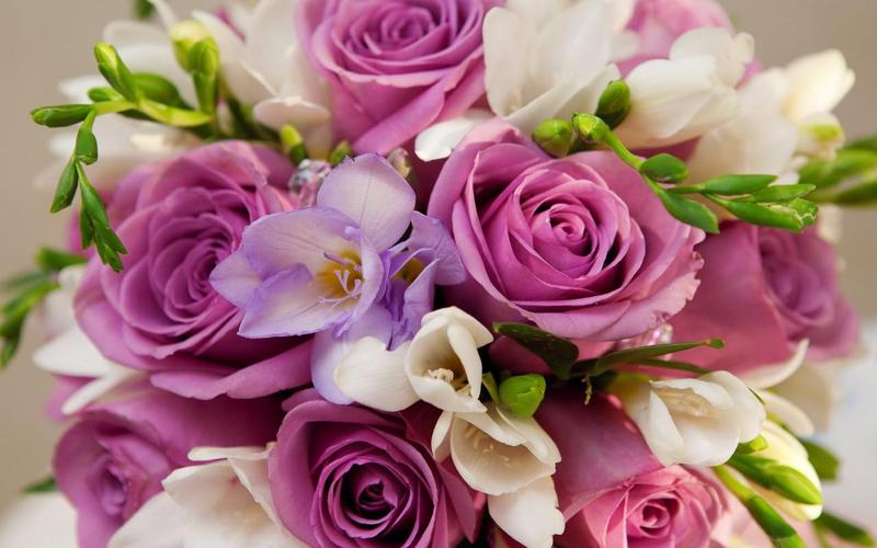 Roses Jigsaw Puzzles 螢幕截圖 1