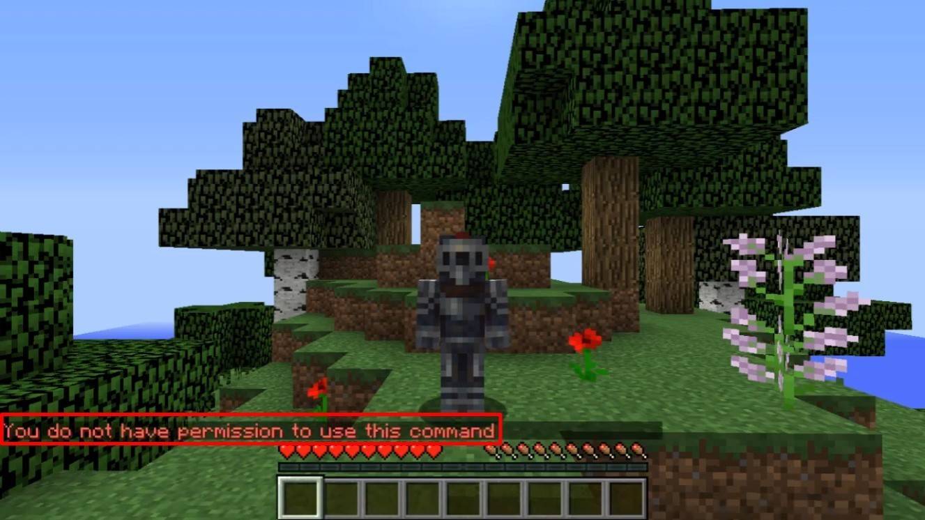 Teleportation in Minecraft