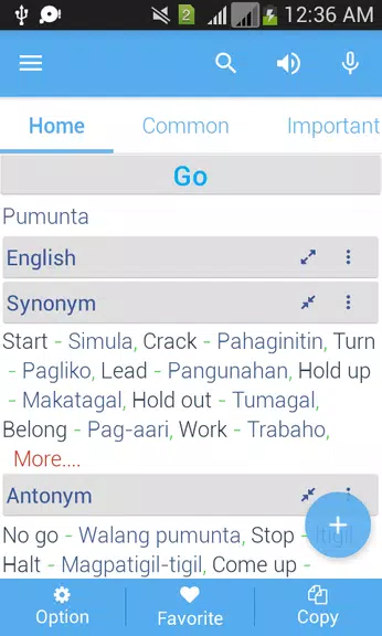 Filipino Dictionary Multifunct Captura de pantalla 2