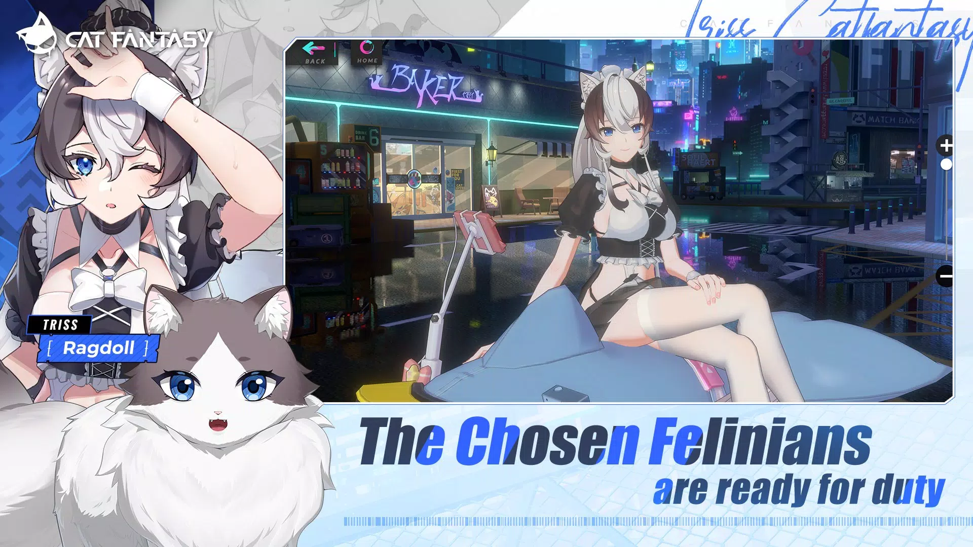 Cat Fantasy:PH ภาพหน้าจอ 1