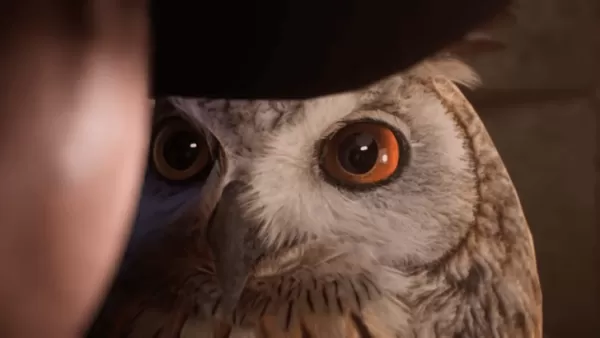 Hogwarts Legacy 2預訂和DLC