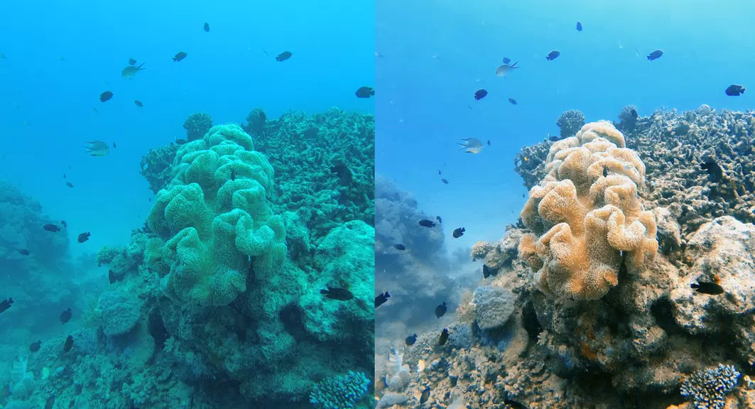 UwEdit - Diving footage editor Tangkapan skrin 2
