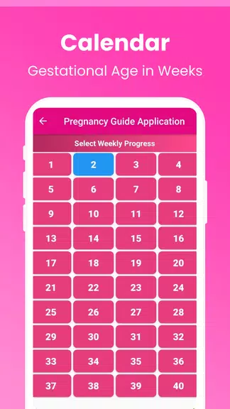 Pregnancy Guide - A Mom 螢幕截圖 3