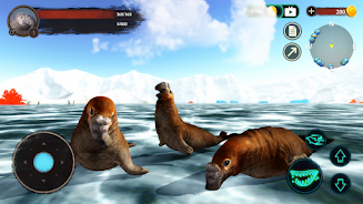 Schermata The Seal Elephant 3