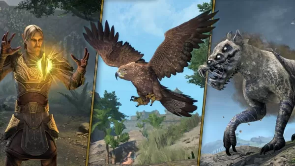 Elder Scrolls Online 서브 클래스는 11 년 오랜 팬이 요청한 후에옵니다.