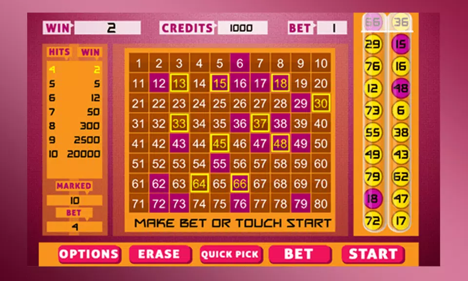 Keno Bingo 螢幕截圖 1