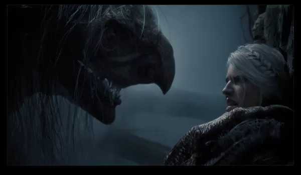 ダフ・コックル、シリを主体とするウィッチャー4を擁護