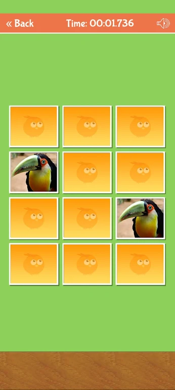 Birds Memory Match Game 螢幕截圖 0