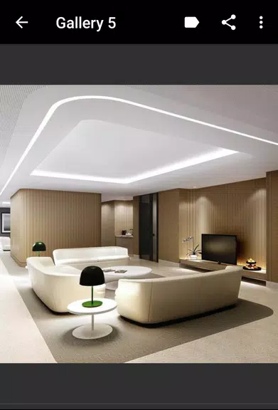 Ceiling Design স্ক্রিনশট 2