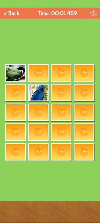 Birds Memory Match Game 螢幕截圖 2