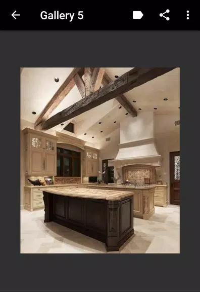 Ceiling Design স্ক্রিনশট 3
