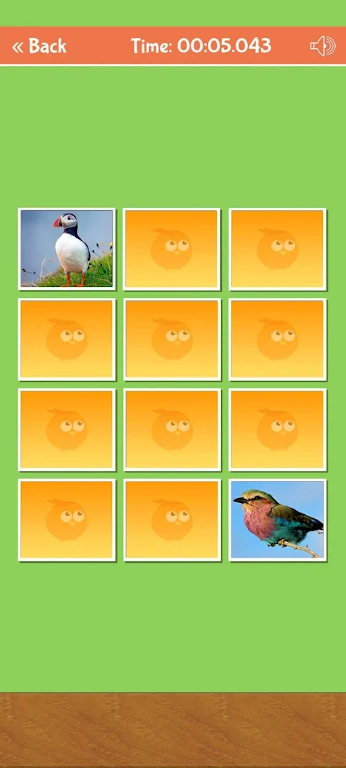 Birds Memory Match Game 螢幕截圖 1