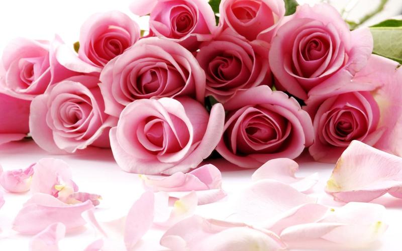 Roses Jigsaw Puzzles 螢幕截圖 2