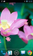 Lotus Live Wallpaper 스크린샷 3