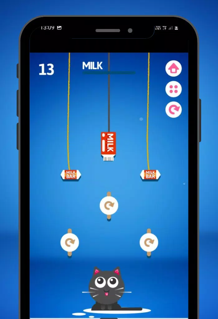 Feed the Kitty Cat Game 螢幕截圖 2