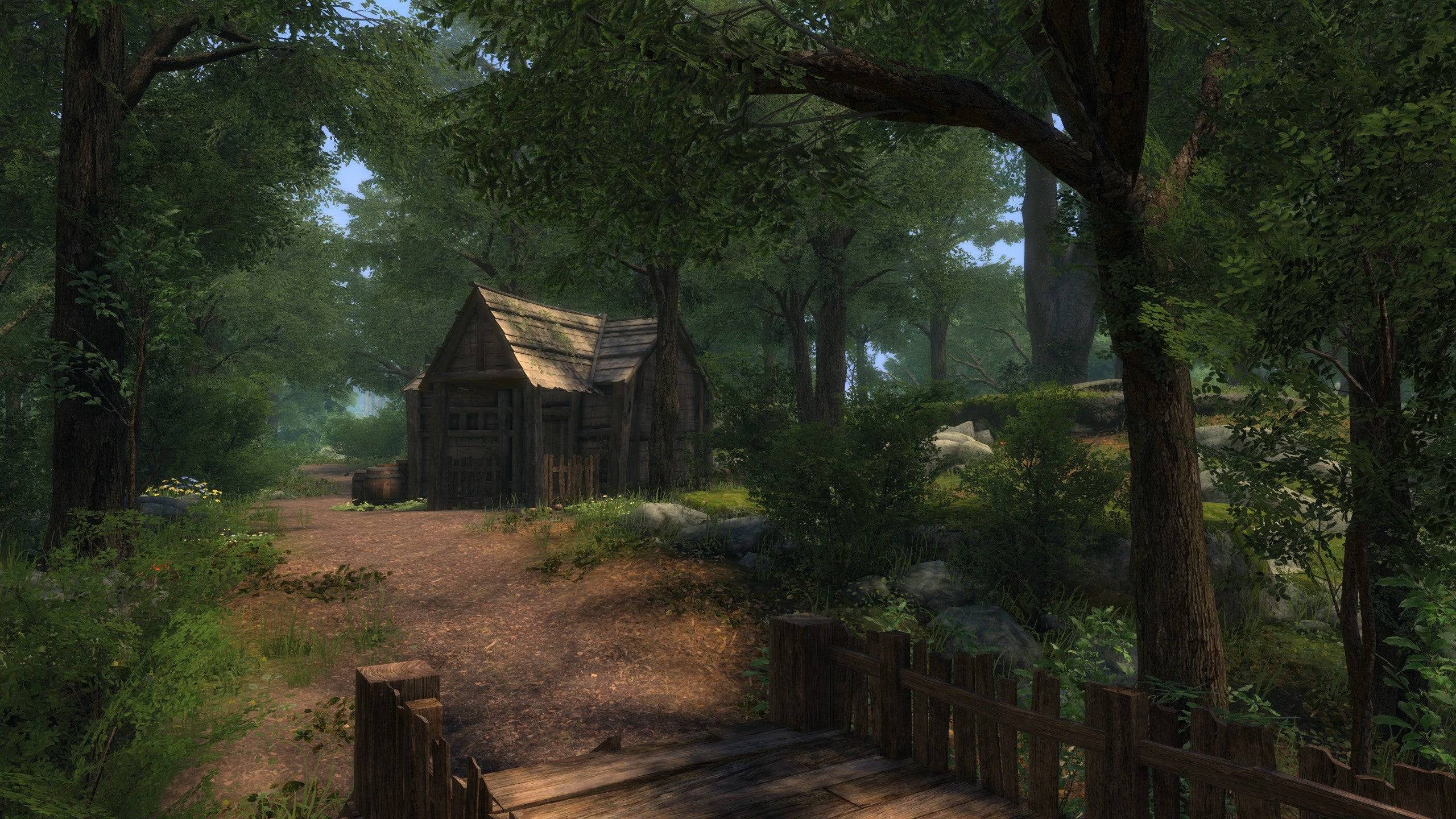 Redesigned Oblivion landscape in Skyrim engine