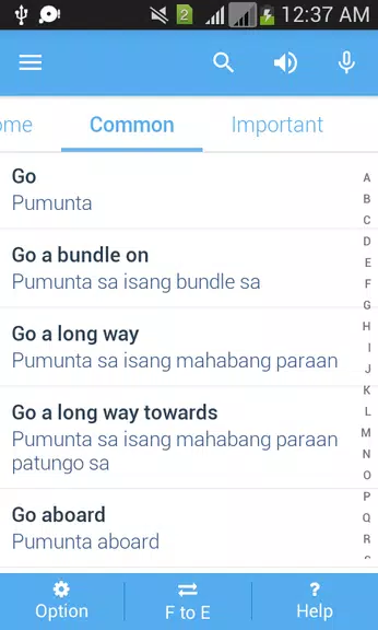 Filipino Dictionary Multifunct Captura de pantalla 3