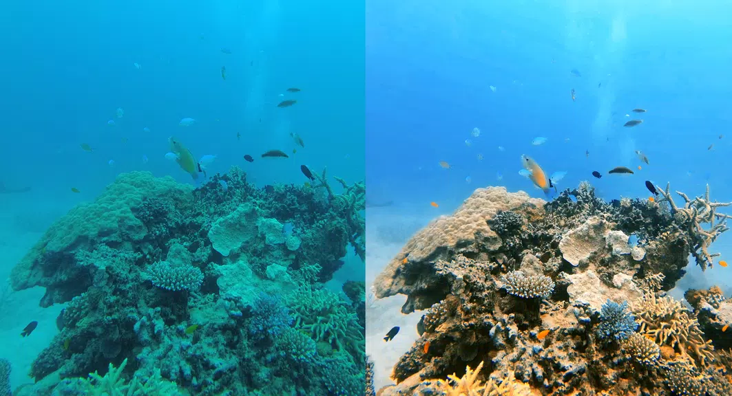 UwEdit - Diving footage editor Tangkapan skrin 0