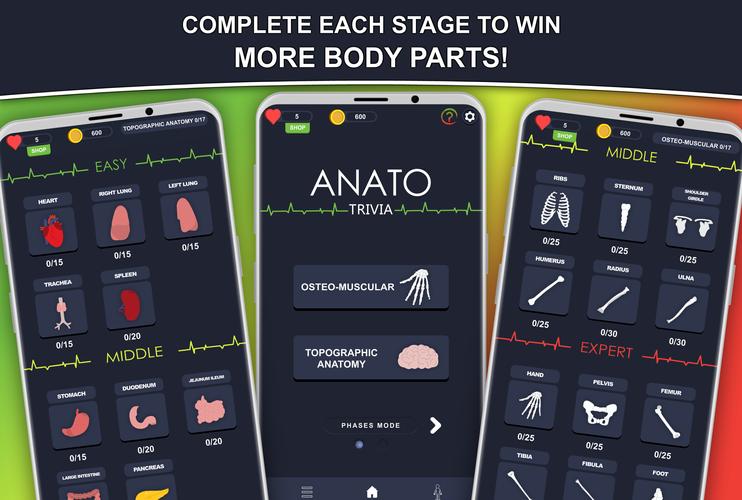 Anato Trivia Capture d'écran 2