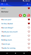 Learn Turkish Faster Captura de pantalla 2