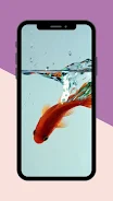 鯉水生壁紙 スクリーンショット 1